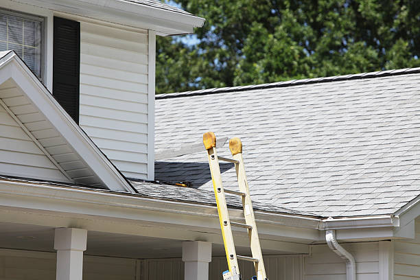 Affordable Siding Repair and Maintenance Services in Mountain Lodge Park, NY